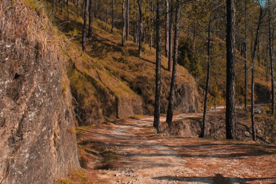 Βολτάροντας με μια φίνα: «Που εννά πάεις κορούα;»