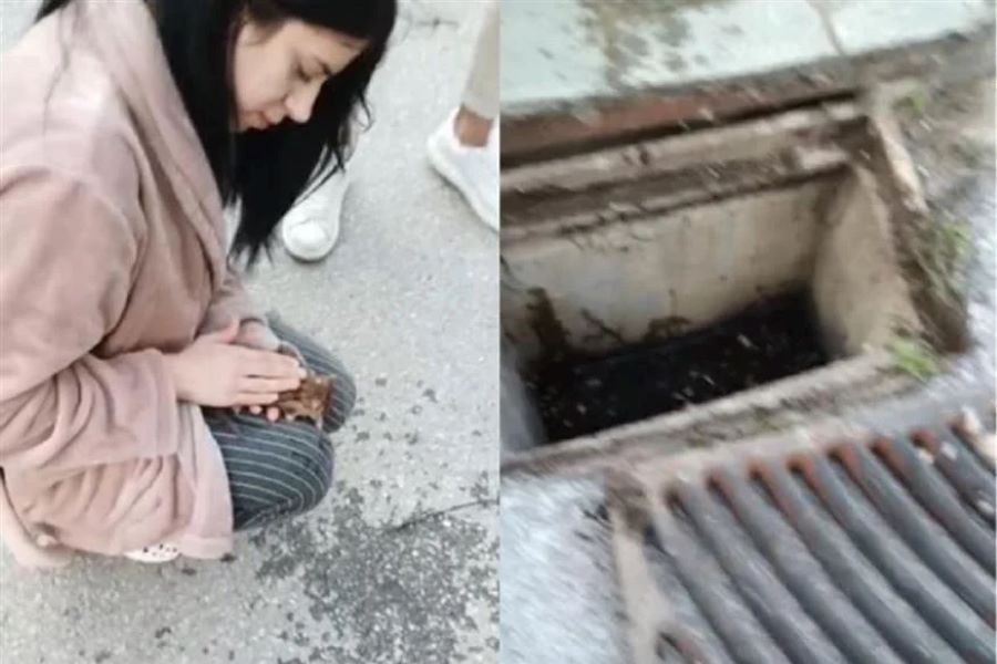 Θεσσαλονίκη: Νοσηλεύτρια «επανέφερε» γατάκι με μαλάξεις (ΒΙΝΤΕΟ)