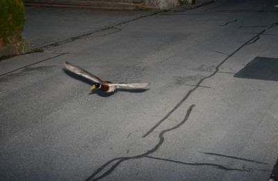 Είναι η δεύτερη σε επτά χρόνια