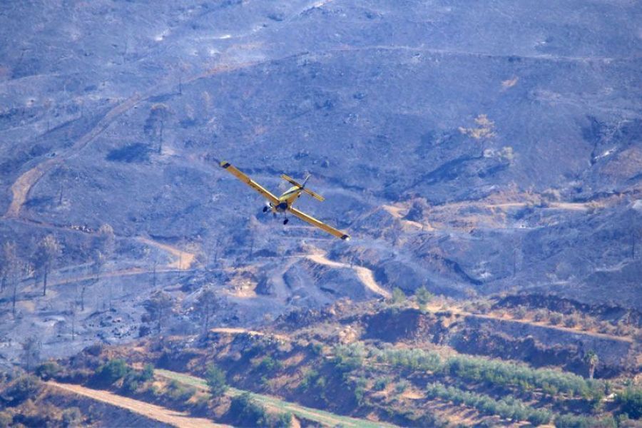Πώς απαντά στην έκθεση της ΕΥ το Τμήμα Δασών