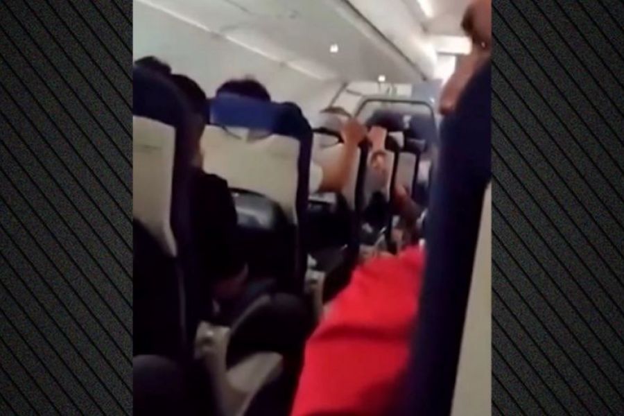 Πτήση τρόμου: Αναταράξεις, χαλαζόπτωση και σύγκρουση με πουλί (ΒΙΝΤΕΟ)