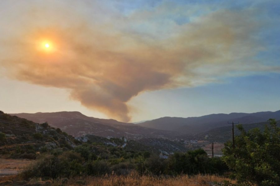 Καμένη γη το σιτάρι και ελαιόδεντρα στην Καρπασία