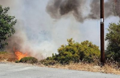 Aπό τη φωτιά κάηκε έκταση περίπου ενός εκταρίου (Φωτογραφία: Εθελοντική ομάδα δασοπροστασίας Άτλας)