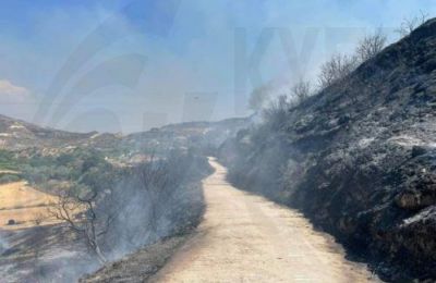 Λατσιά - Γέρι: Προστάτευσαν κατοικίες οι δυνάμεις πυρόσβεσης