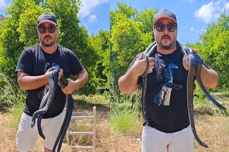 Έβγαλε τα φίδια από την τρύπα ο Αγγελή – Παγίδα θανάτου στο Παραμάλι