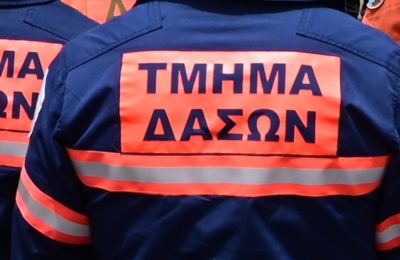 Οι δασοπυροσβέστες έθεσαν γρήγορα υπό έλεγχο τη φωτιά σε περιοχή της Ευρύχου