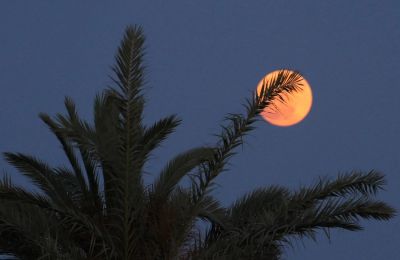 Φωτογραφία από ΚΥΠΕ