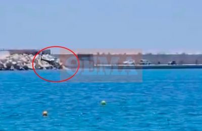 Ένας Έλληνας πιλότος και δύο ζευγάρια Αμερικανών οι επιβαίνοντες