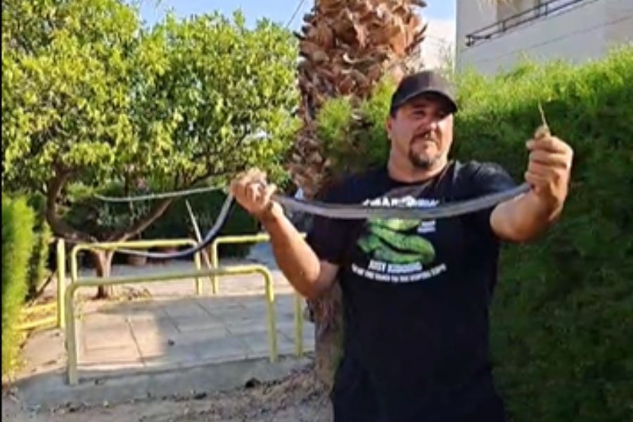 Δαγκώθηκε από φίδι ο Γιάννης Αγγελή ενώ επιχειρούσε να το ξετρυπώσει