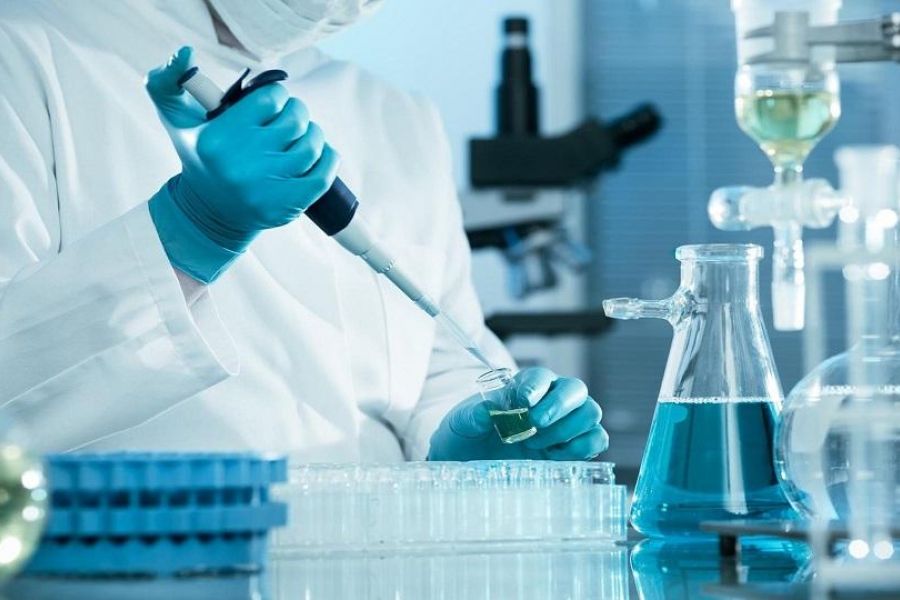 Τοξικός μύκητας της «κατάρας των Φαραώ» φάρμακο κατά της λευχαιμίας