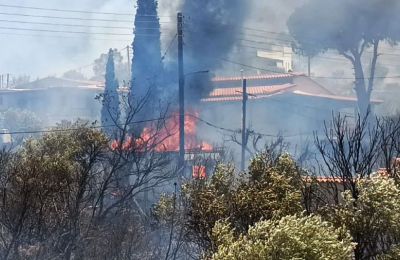 Κάηκαν σπίτια από τη φωτιά στην περιοχή της Παλαιάς Φώκαιας (ΒΙΝΤΕΟ)