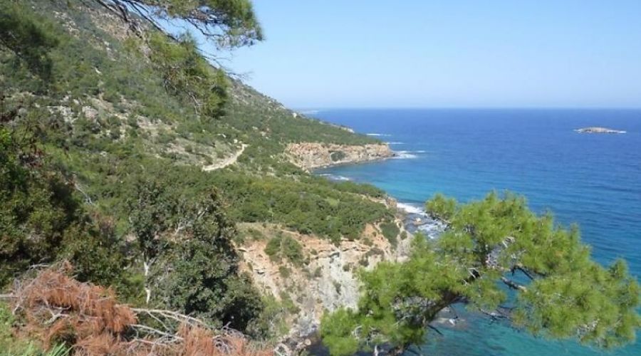 Φωτογραφία Αρχείου