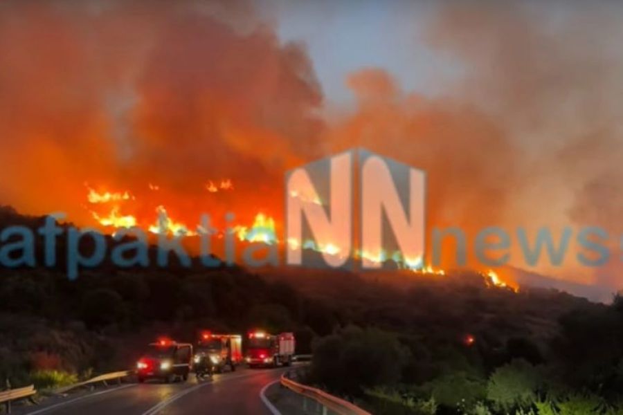 Μεγάλη πυρκαγιά στη Ναύπακτο (ΒΙΝΤΕΟ)