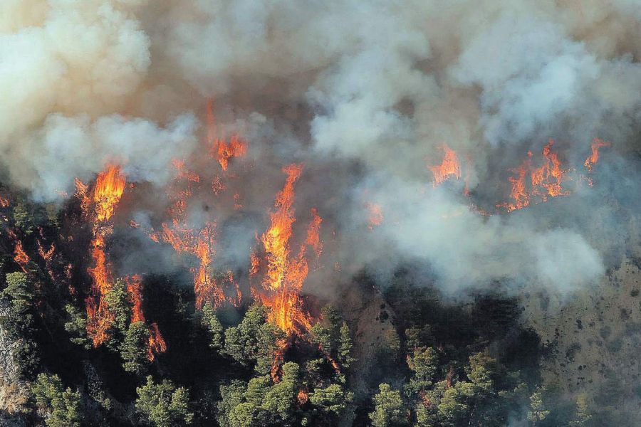 Πυρκαγιά στην Πάφο – Πρόλαβαν τα χειρότερα οι δυνάμεις πυρόσβεσης