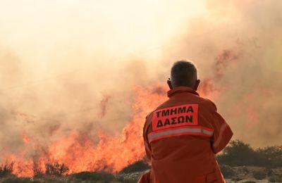 Νέα πυρκαγιά, αυτή τη φορά εντός κρατικού δάσους στα όρια της κοινότητας Κλαυδιά