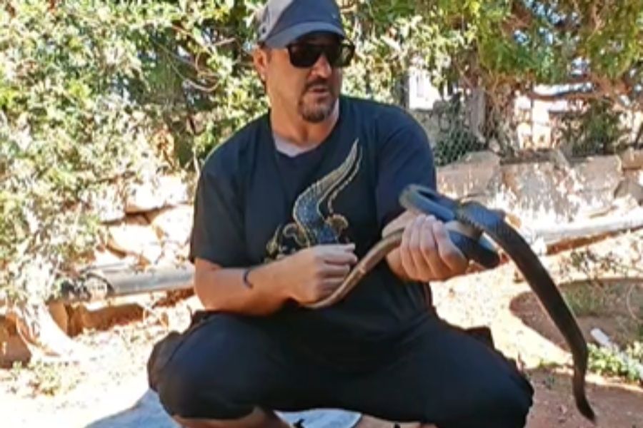 Μας κατεβαίνουν τα φίδια - Αγγελή: Θα έφευγαν και οι λαθρομετανάστες