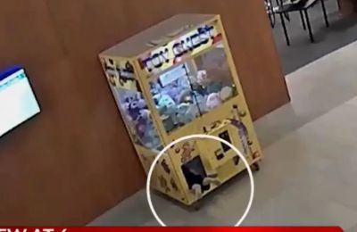 Παρά την περιπέτειά του, το μικρό αγόρι δεν τραυματίστηκε