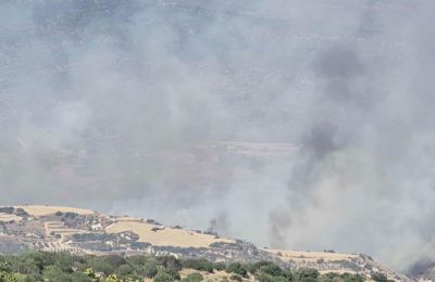 Η πυρκαγιά αναπτύχθηκε και εξελίχθηκε σε πολύ δύσβατες περιοχές και σε συνδιασμό με τους ανέμους έκαναν δύσκολο το έργο της πυρόσβεσης
