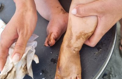 Φωτογραφία από ΜΚΔ