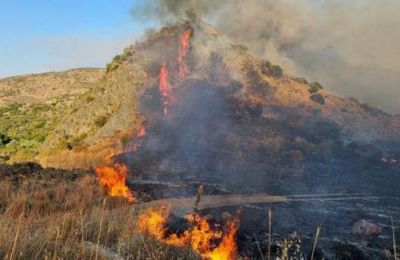 Η εξέλιξη της πυρκαγιάς στην ορεινή περιοχή Λεμεσού ήταν σφοδρότατη με εναλλασσόμενους άνεμους 