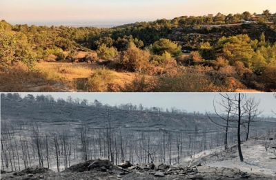 «Οι αρμόδιοι μας άφησαν στο έλεος του Θεού. Δεν ήρθε καμιά βοήθεια και είμαστε 15 λεπτά από τη Λεμεσό», μας είπαν κάτοικοι με φανερή την απόγνωση στο πρόσωπό τους (ΦΩΤΟ: 24News)