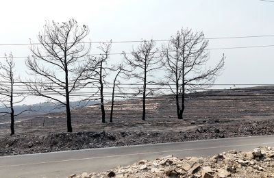 Μεγάλες καταστροφές άφησε η πυρκαγιά