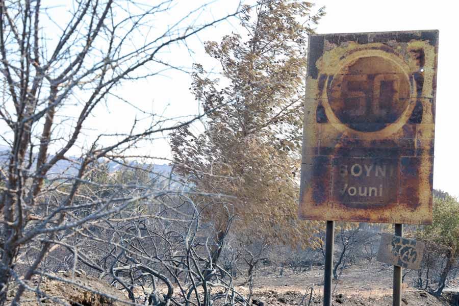 Αντιμετωπίστηκαν αναζωπυρώσεις - Ξεκίνησαν ρίψεις τα εναέρια μέσα