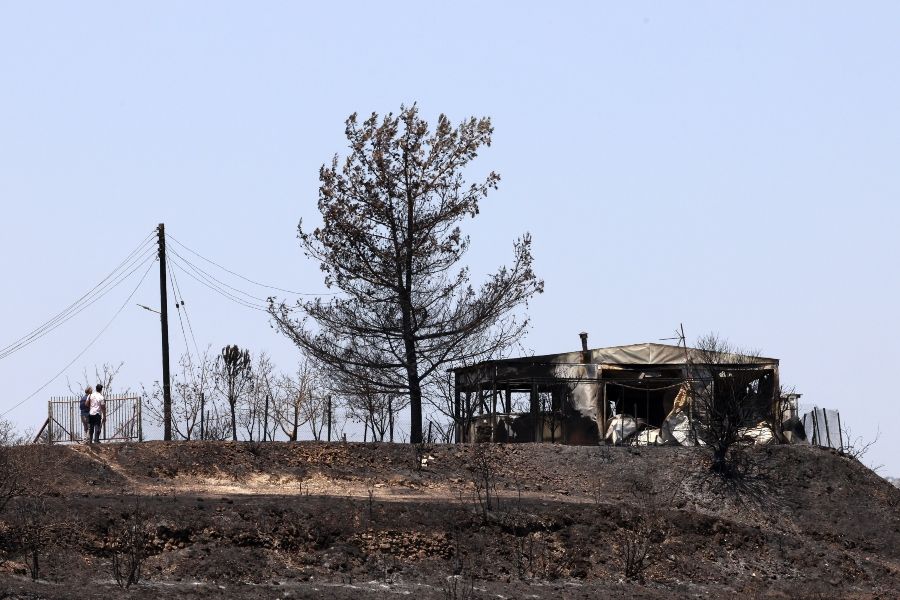 Κοινωνία ώρα μηδέν: Μετά την καμένη γη, το πλιάτσικο