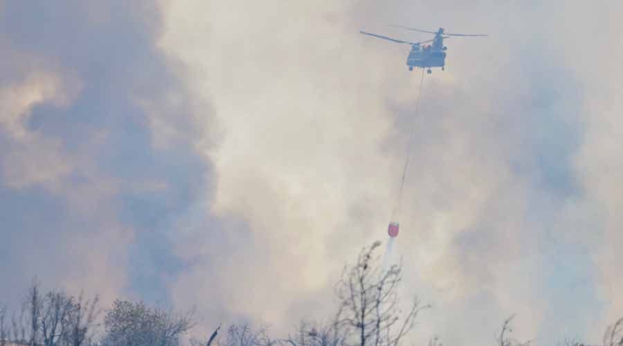 Ορεινή Λεμεσός, 23 Ιουλιου 2025  - Φωτογραφία από Φίλιππο Χρήστου