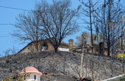 Οι αρμόδιοι φαίνεται πως αξιολογούν το ενδεχόμενο να προσφέρουν και την επιλογή της ξύλινης κατασκευής στους πυρόπληκτους (Φωτογραφία από ΚΥΠΕ)