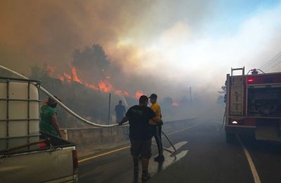 Τμήμα Δασών: Ζητά αναδιάρθρωση του συστήματος για πυρκαγιές 