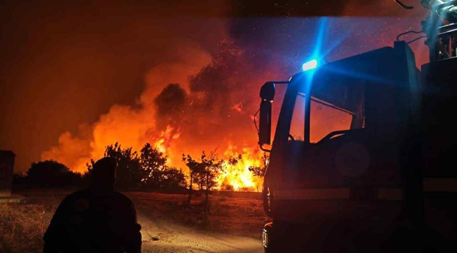 Τμήμα Δασών για ανάρτηση Χριστοφίδη – «Πολιτική εκμετάλλευση»
