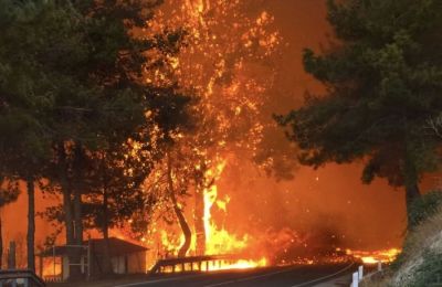Όσα δήλωσε ο αναπληρωτής Κυβερνητικός Εκπρόσωπος Γιάννης Αντωνίου