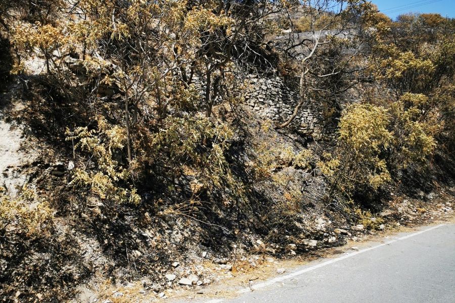 Κοινοτάρχης Ομόδους: Πήγα πρώτος και ξέρω πολύ καλά τι είδα Κοινοτάρχης Ομόδους: Πήγα πρώτος και ξέρω πολύ καλά τι είδα