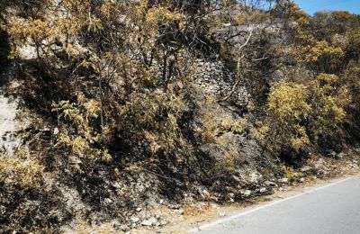 Ο κοινοτάρχης Ομόδους έδωσε στη δημοσιότητα φωτογραφικό υλικό από το σημείο όπου ξεκίνησε η πυρκαγιά