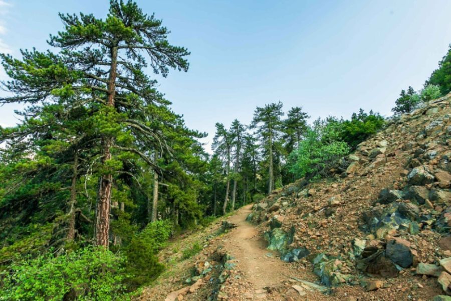 Κόκκινος συναγερμός για δασικές πυρκαγιές και την Τετάρτη