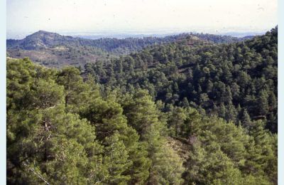 Φωτογραφία: Polignosi