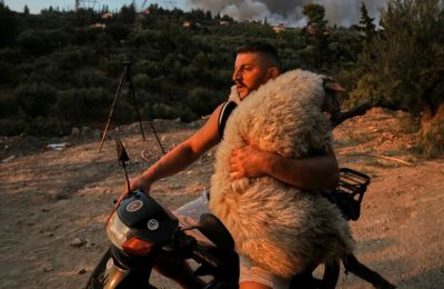 Ο 33χρονος Αλβανός με το πρόβατο πάνω στη μηχανή