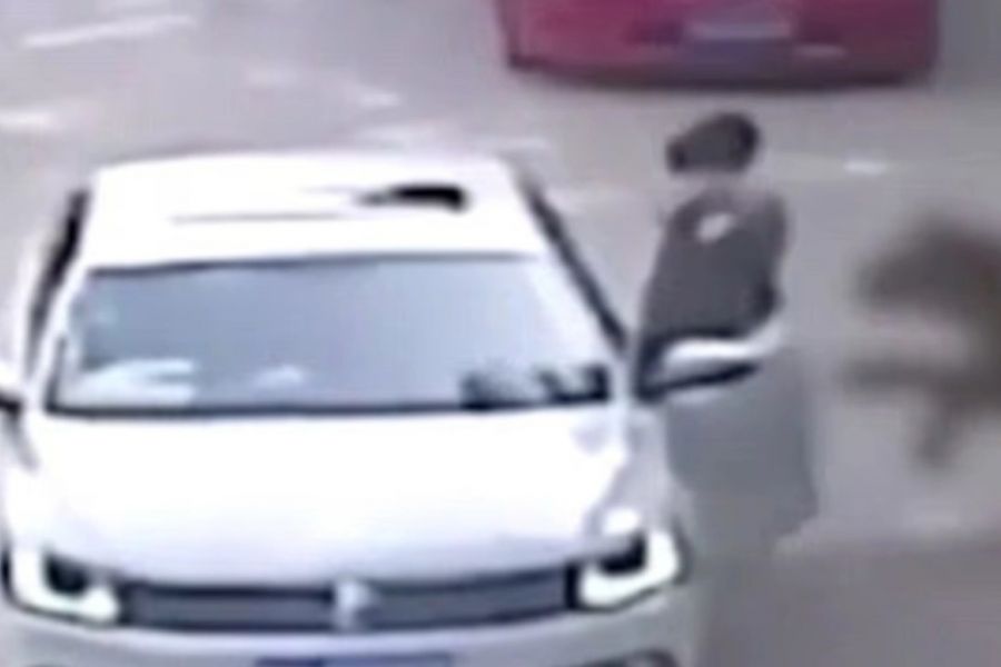 Κίνα: Τίγρης κατασπάραξε γυναίκα μπροστά στην οικογένεια της (ΒΙΝΤΕΟ) Κίνα: Τίγρης κατασπάραξε γυναίκα μπροστά στην οικογένεια της (ΒΙΝΤΕΟ)