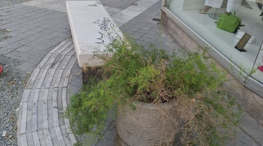 Και, όμως, συνέβηκε και αυτό στην Κύπρο.... 