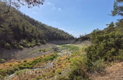 Στο μεγαλύτερο μέρος του φράγματος της Αργάκας δεν υπάρχει σταγόνα, με την πληρότητα να κατρακυλά στο 1,3% και την ποσότητα στις 11.000 κυβικά μέτρα νερό (φωτογραφία: Καιρόφιλοι Κύπρου)