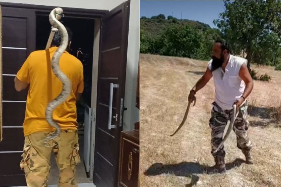 Βγήκε από σπίτι με τεράστια φίνα να κρέμεται πίσω από την πλάτη του Βγήκε από σπίτι με τεράστια φίνα να κρέμεται πίσω από την πλάτη του
