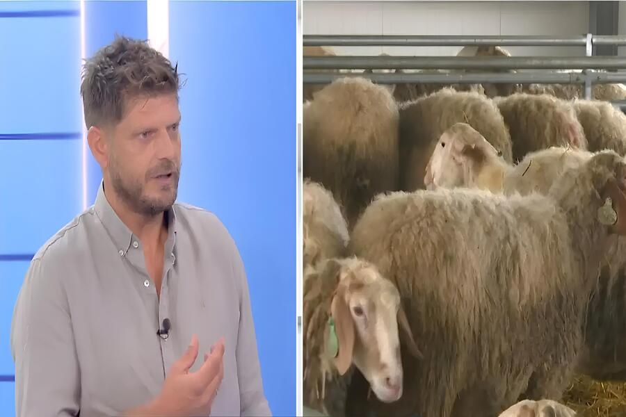 Χρήστος Ντεντόπουλος: Από τη νίκη στο Big Brother στην καταστροφή Χρήστος Ντεντόπουλος: Από τη νίκη στο Big Brother στην καταστροφή