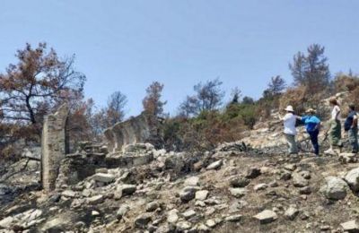 Πυρόπληκτες περιοχές