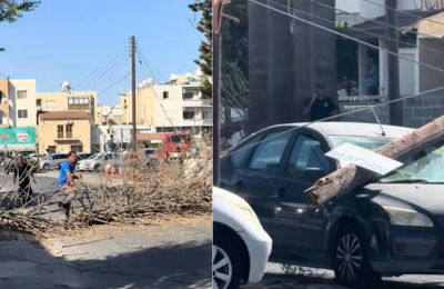 Δέντρο έπεσε σε καλώδια κι έριξε πάσσαλους - Καταπλακώθηκε όχημα