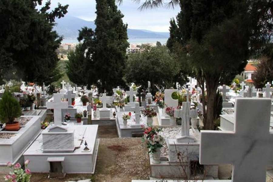 Φρίκη σε κοιμητήριο στη Λεμεσό: Βρέθηκαν 30 νεκρές γάτες (ΒΙΝΤΕΟ)