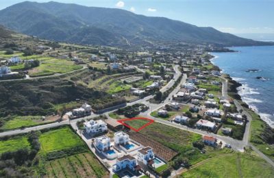 BidX1: Η νέα συλλογή Οκτωβρίου φέρνει στην αγορά καινούριες ευκαιρίες 