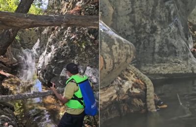 Οι εξερευνητές της φύσης είχαν την τύχη με το μέρος τους καθώς δευτερόλεπτα πριν το δηλητηριώδες ερπετό κάνει τη βουτιά από τους βράχους είχαν σταματήσει για φωτογραφίες και βίντεο