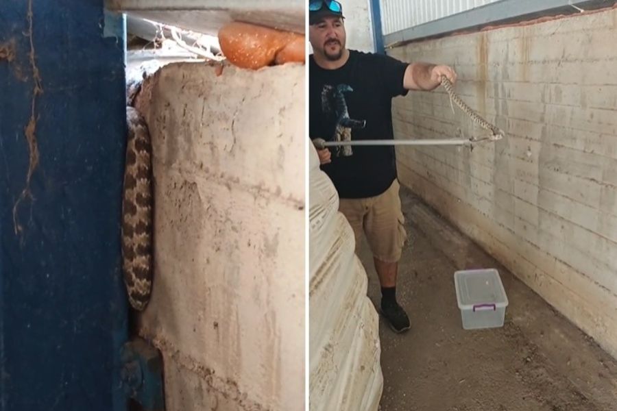 Πετάχτηκε έξω η φίνα αλλά πρόλαβε να την αρπάξει