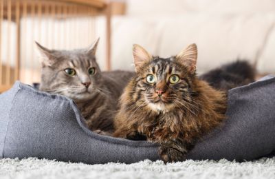 Φωτογραφία Αρχείου